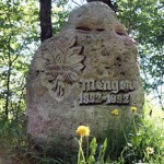 stein