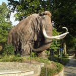 bild09