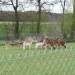 baggersee01
