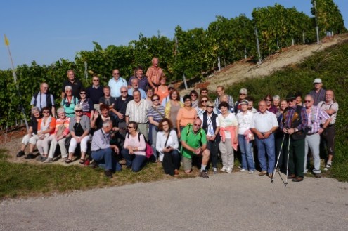wein01