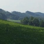 img-20170621-wa0002 img-20170621-wa0002