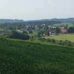 img-20170621-wa0003 img-20170621-wa0003