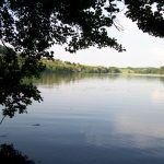 schwaigfurter-weiher-3