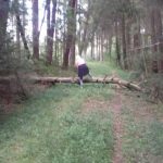 kein-weg-ohne-hindernisse