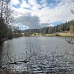 zeller-weiher-05