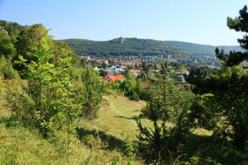 Blick zum Schloßfels