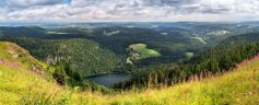 Vom Feldberg zum Feldsee