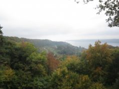 Vom Sipplinger Berg zum Bodensee
