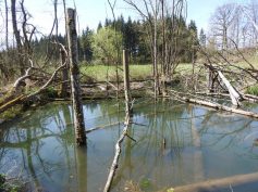 14-04-2019_ll_Heudorf3