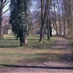 Weg im Park