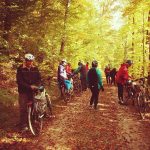 Herbstfärbung auf der Laichinger Alb